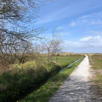 Verhalencafé Nieuwleusen: Afscheid in woorden (Alice Bijker)